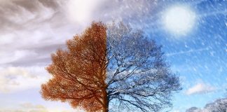 PROGRAM ACTIVITATI COSMOBEAUTY – SALA POLIVALENTA 13.14.15 MARTIE