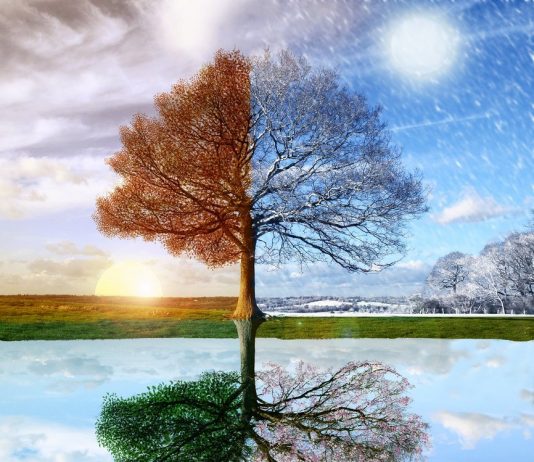 PROGRAM ACTIVITATI COSMOBEAUTY – SALA POLIVALENTA 13.14.15 MARTIE