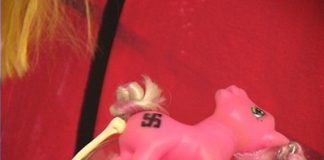 Falusul puturos al lui Patapievici distruge imaginea Romaniei