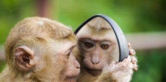 104 Citate Amuzante care sa te inspire in fiecare zi