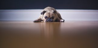 112 Citate Dezamagire Oameni Care iti Vor Transforma Viata