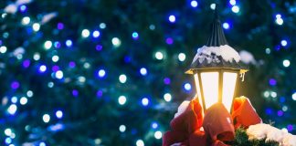 116 Citate De Craciun Care iti vor schimba viata