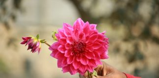 164 Mesaje De Dragoste