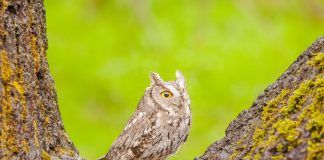 182 Citate Intelepte – Cele Mai Inspirationale Si Frumoase Citate