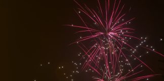 249 Mesaje De Anul Nou