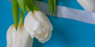 250 Citate Dragoste – Citate Celebre