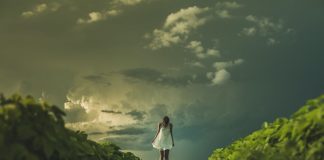 255 Citate Despre Femei