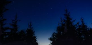 263 Mesaje De Noapte Buna