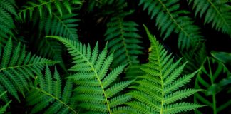 303 Citate Frumoase – Citate Celebre