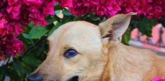 342 Citate Scurte Citate scurte