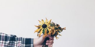 438 Citate Despre Viata Si Sentimente Citate impresionante