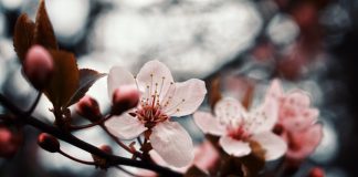 75 Mesaje De 1 Martie