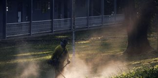 Bujie pentru motocoasă: cauzele depunerilor de ulei și funingine pe electrod
