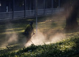 Bujie pentru motocoasă: cauzele depunerilor de ulei și funingine pe electrod